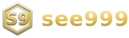 see999 logo